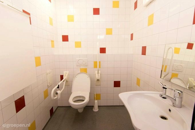 5 Beste Invalidentoiletten Van 2021. Comfortabele Toiletten Voor Personen Met Een Handicap